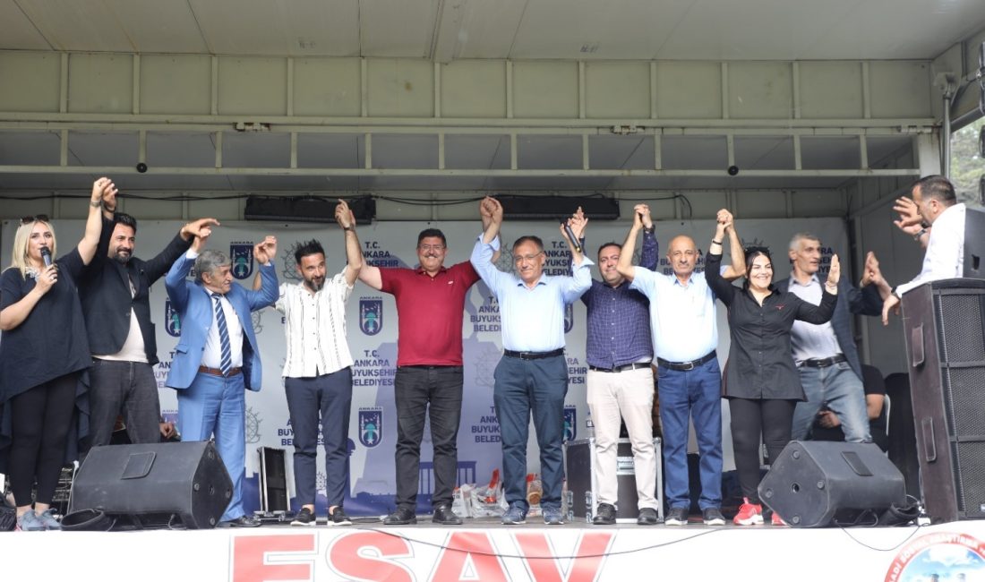 Dadaşlar yayla şenliğinde buluştu ESAV (Erzurum Sosyal İktisadi Araştırma